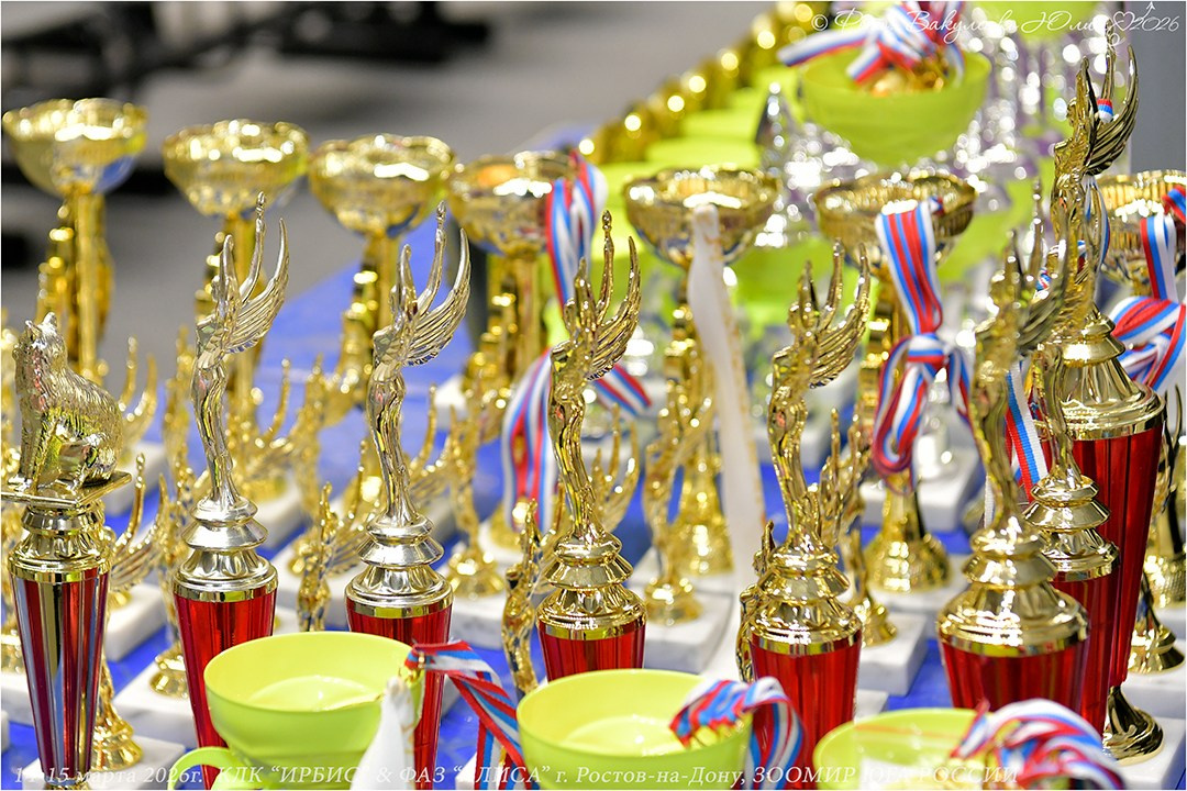 2026. Фотограф анималист | семейный Юлия Вакуленко, г. Краснодар