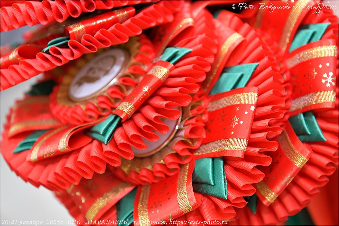 2025. Фотограф анималист | семейный Юлия Вакуленко, г. Краснодар