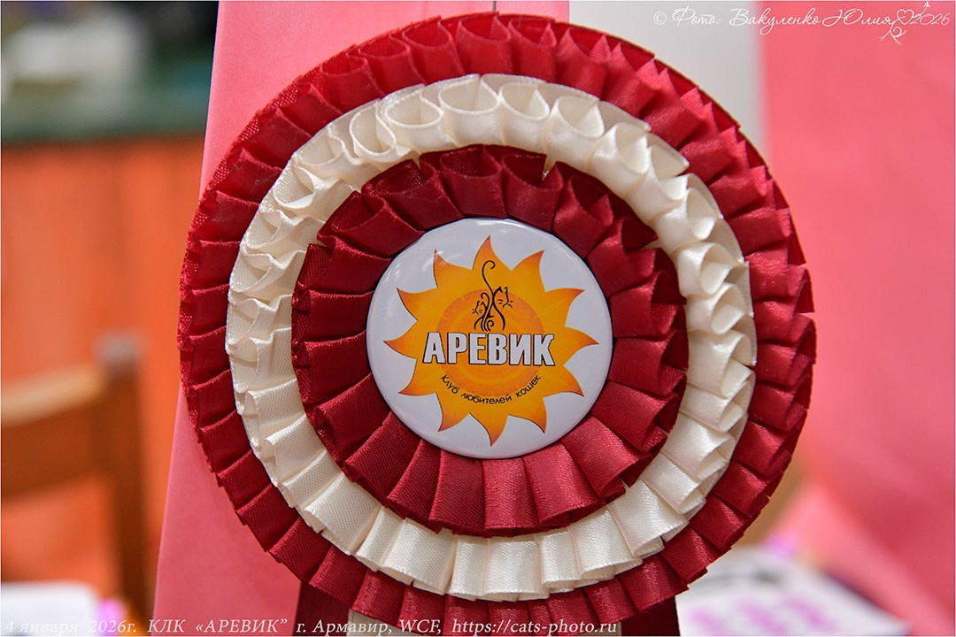 2026. Фотограф анималист | семейный Юлия Вакуленко, г. Краснодар