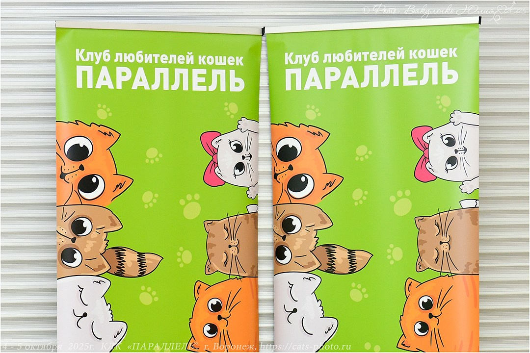 2025. Фотограф анималист | семейный Юлия Вакуленко, г. Краснодар