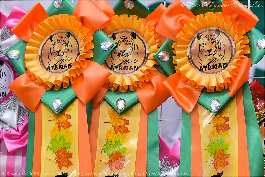 2025. Фотограф анималист | семейный Юлия Вакуленко, г. Краснодар