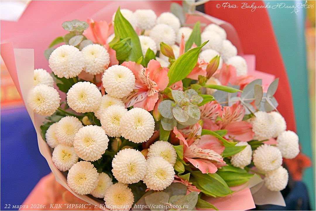 2026. Фотограф анималист | семейный Юлия Вакуленко, г. Краснодар