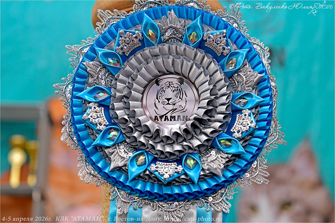 2026. Фотограф анималист | семейный Юлия Вакуленко, г. Краснодар