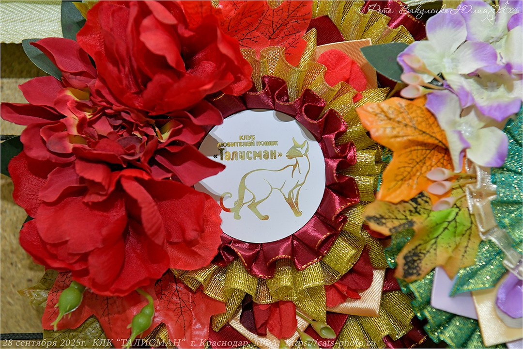 2025. Фотограф анималист | семейный Юлия Вакуленко, г. Краснодар