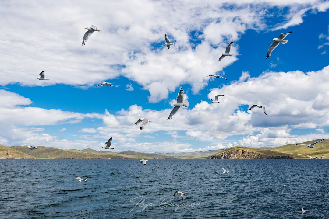 Из Иркутска на Ольхон. Илья Буянов, гид по Байкалу, фотограф — baikalsky.com