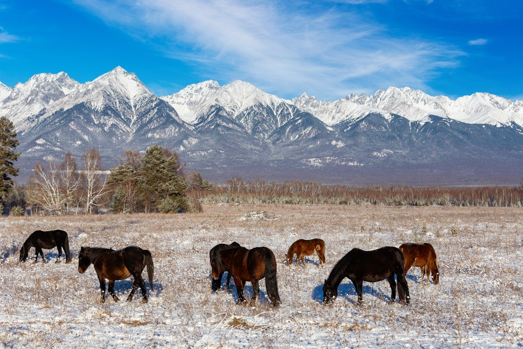 Из Иркутска в Саяны (курорт Аршан). Илья Буянов, гид по Байкалу, фотограф — baikalsky.com