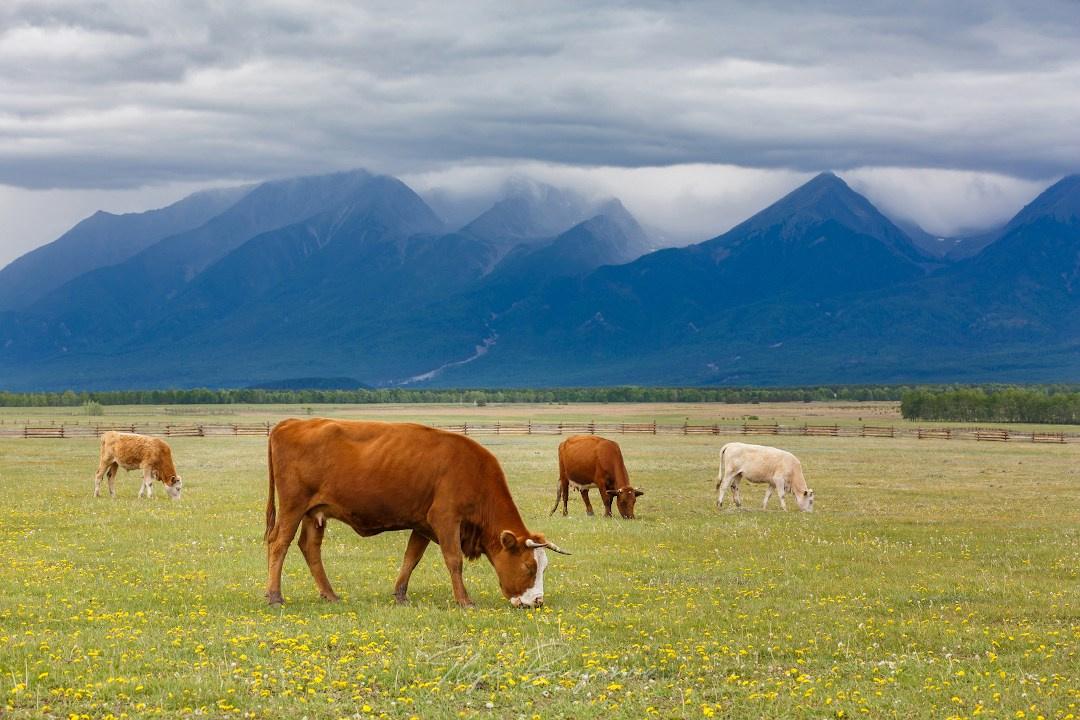 Из Иркутска в Саяны (курорт Аршан). Илья Буянов, гид по Байкалу, фотограф — baikalsky.com