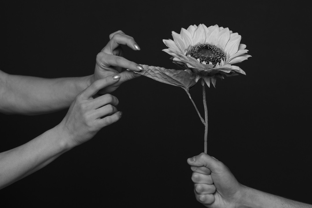 Стоимость. Фотограф г. Хабаровск