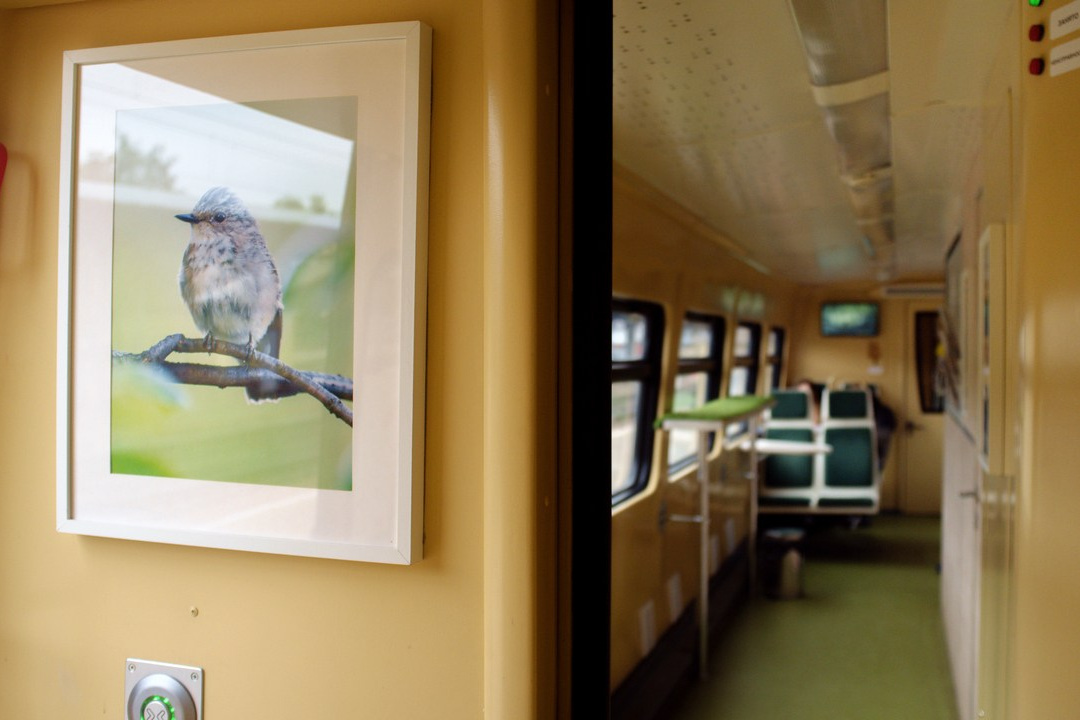 Видеография. Руслан Шувалов (поэтограф)