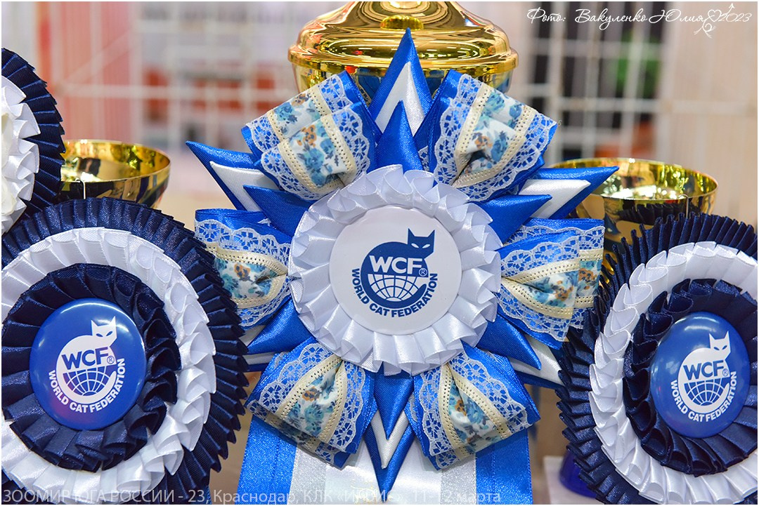 Услуги. Фотограф анималист | семейный Юлия Вакуленко, г. Краснодар