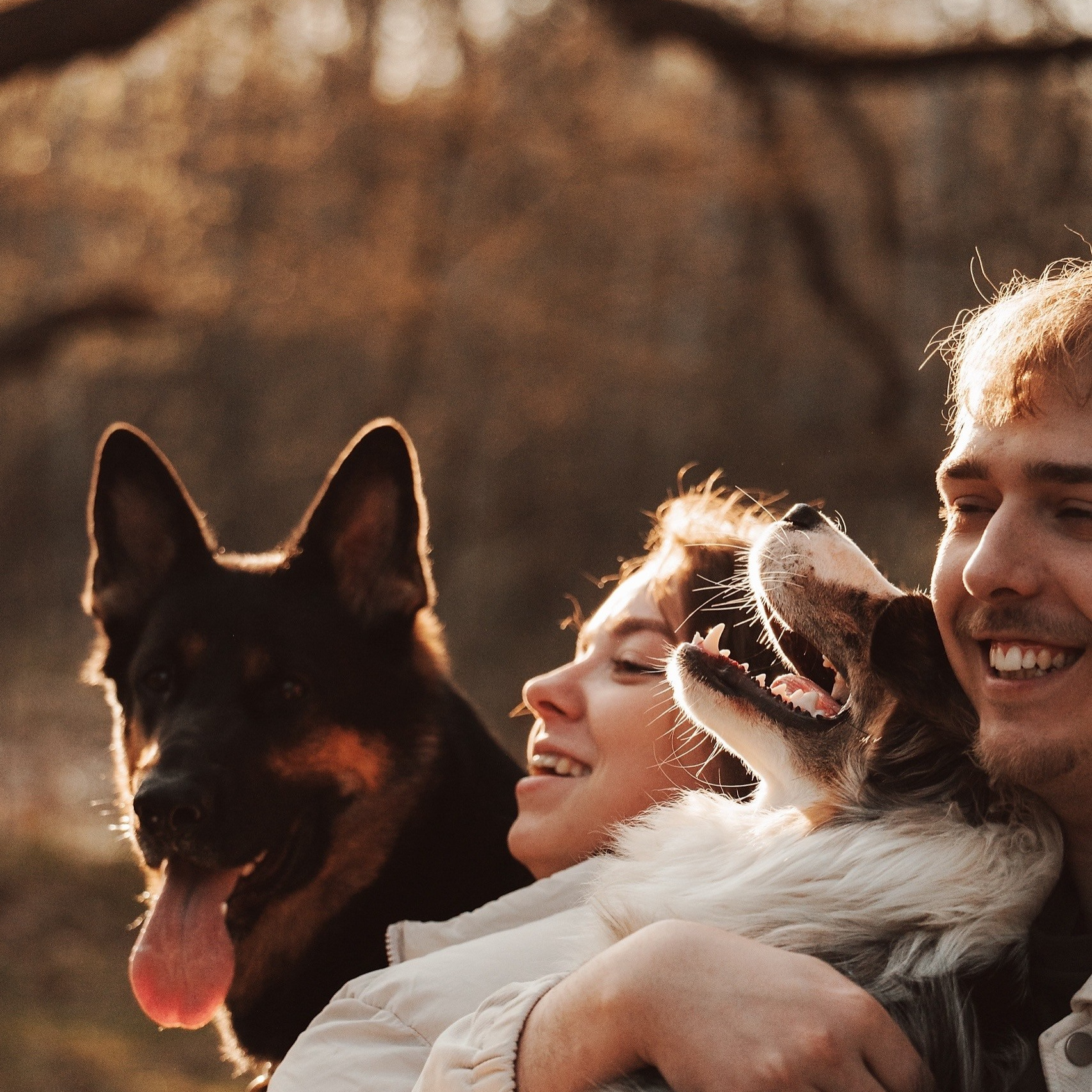Услуги. Фотограф-анималист Нижний Новгород