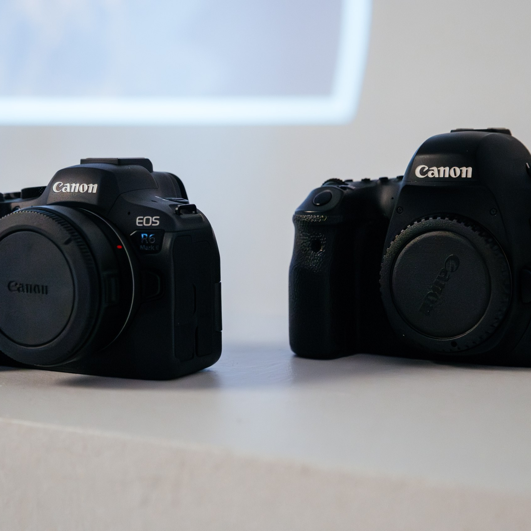 Обучение. Концертный и спортивный фотограф в Липецке