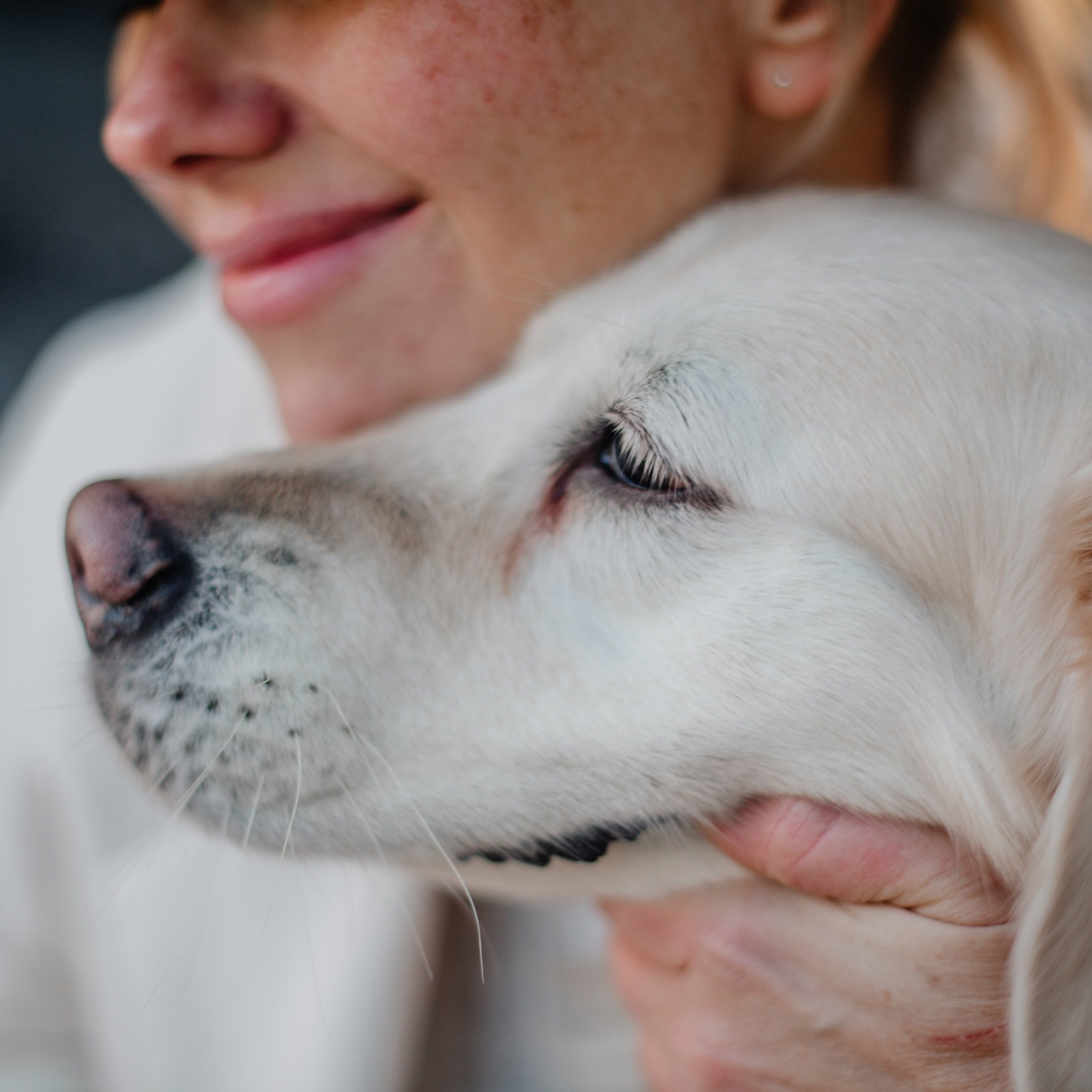 Услуги. Фотограф Алёна Дарьина