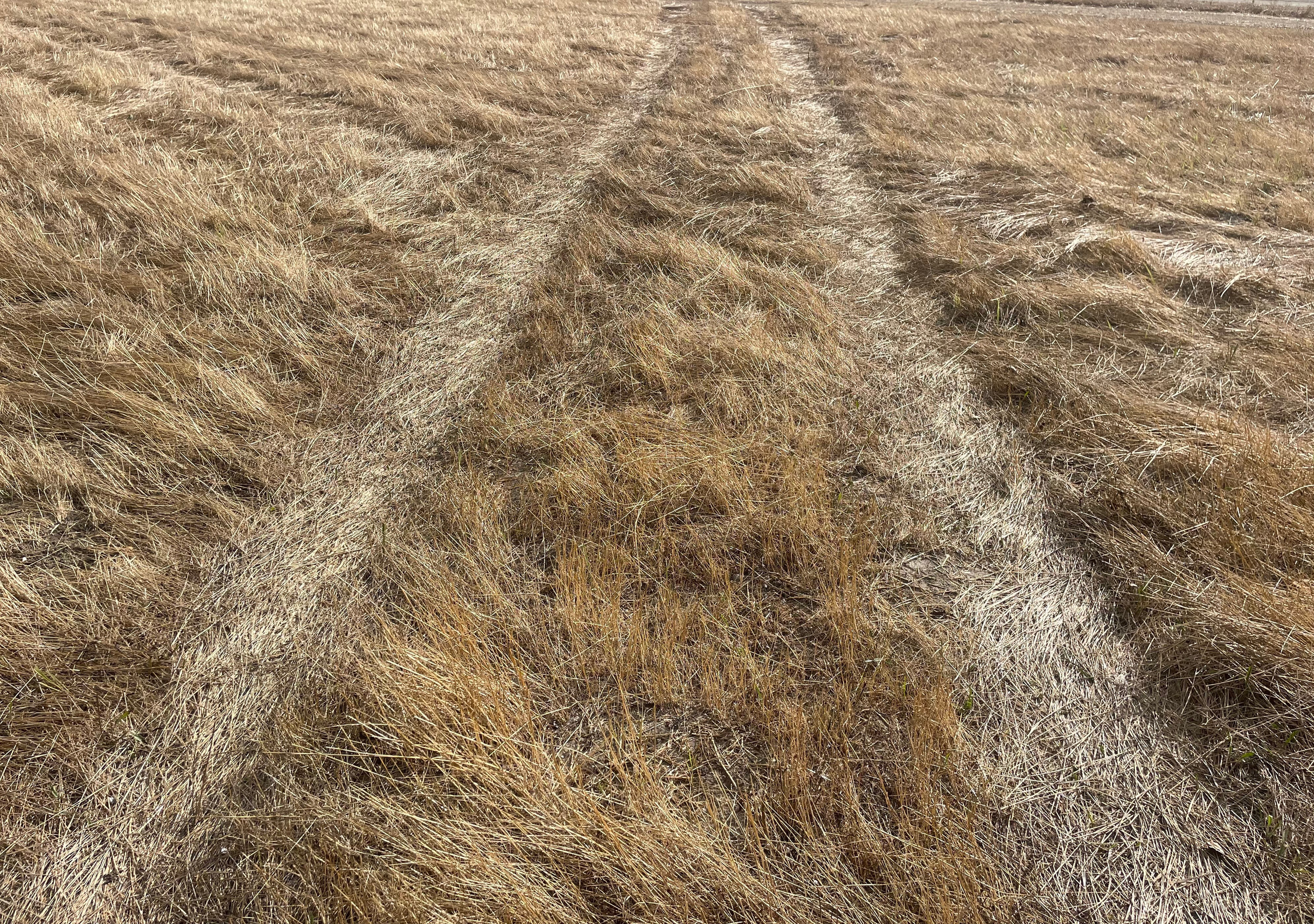 Наталия Бабинцева — ВЫДЕЛЕННАЯ ТЕРРИТОРИЯ: прогулки с N