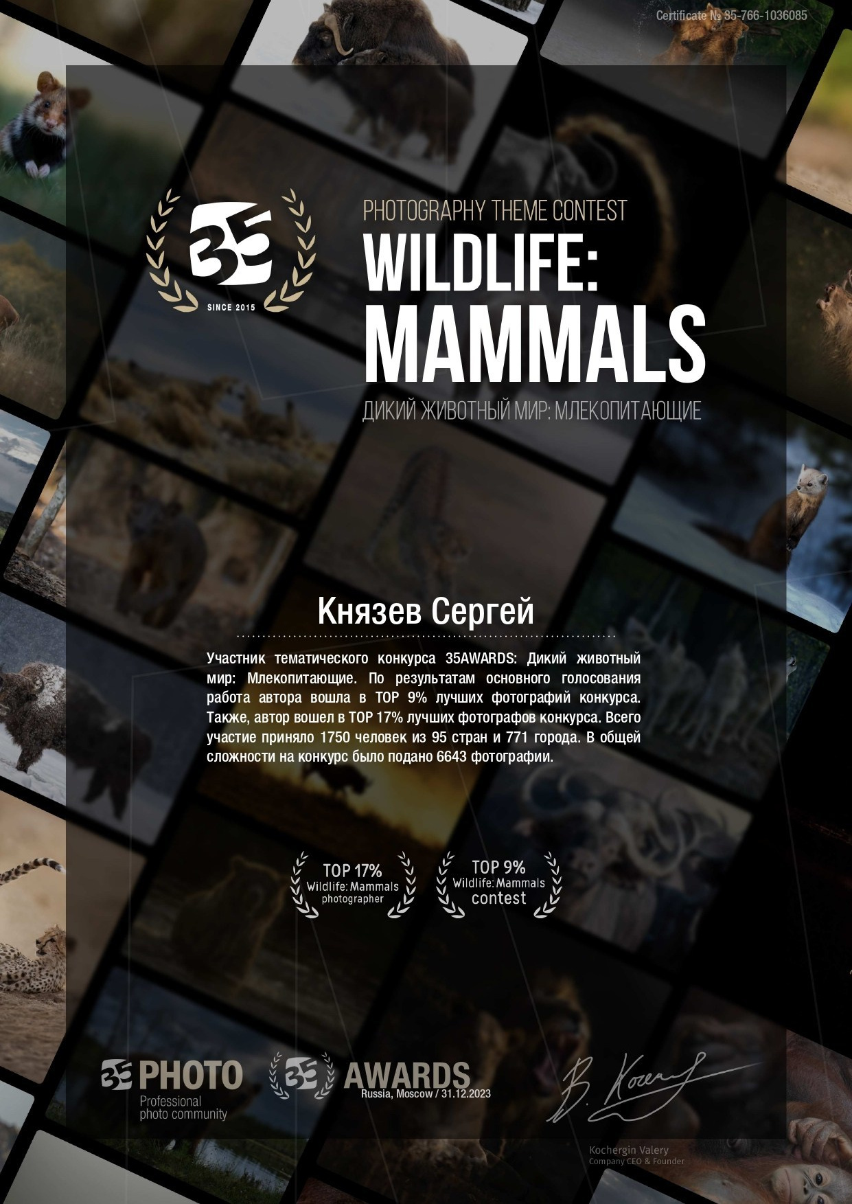 Дипломы за участия в фотоконкурсах. Фотограф Князев Сергей