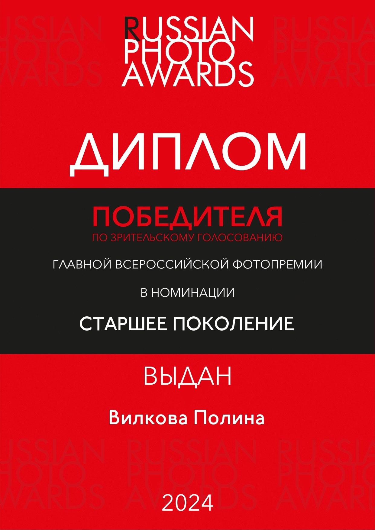 Awards & Publications. Polina Vilkova