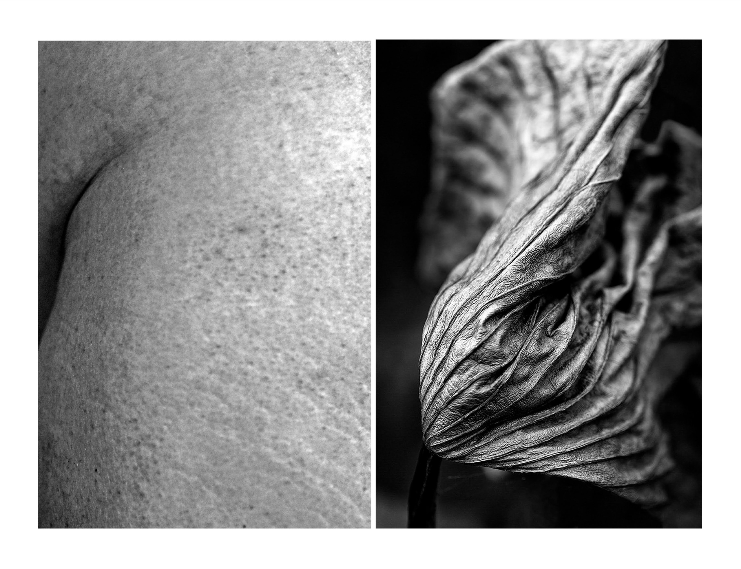 «Природа тела». Наталья Чернобровкина — междисциплинарный художник