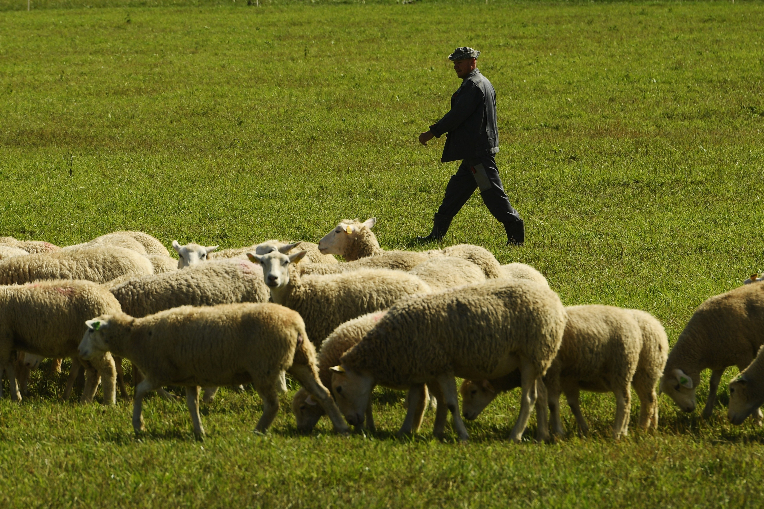 Документальный фотограф Сергей Вдовин