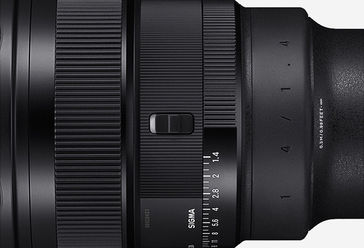 SIGMA 14 mm F1.4 DG DN | Art, сверхширокоугольный объектив. Фотограф — видеограф в Москве Дмитрий Менделеев