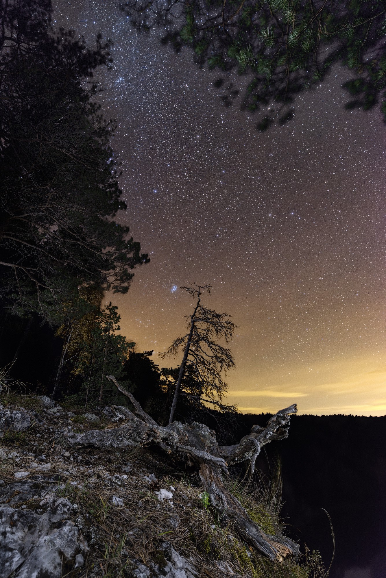 Пример ночной фотосъемки с подсветкой. Автор: Николай Обухов.