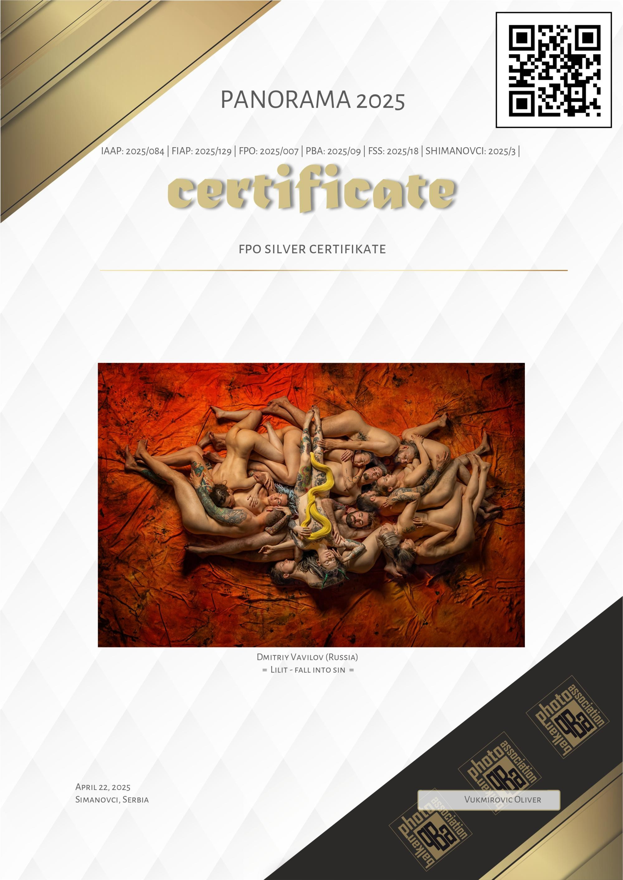 Серебряная награда. Творческие фотосессии в Москве