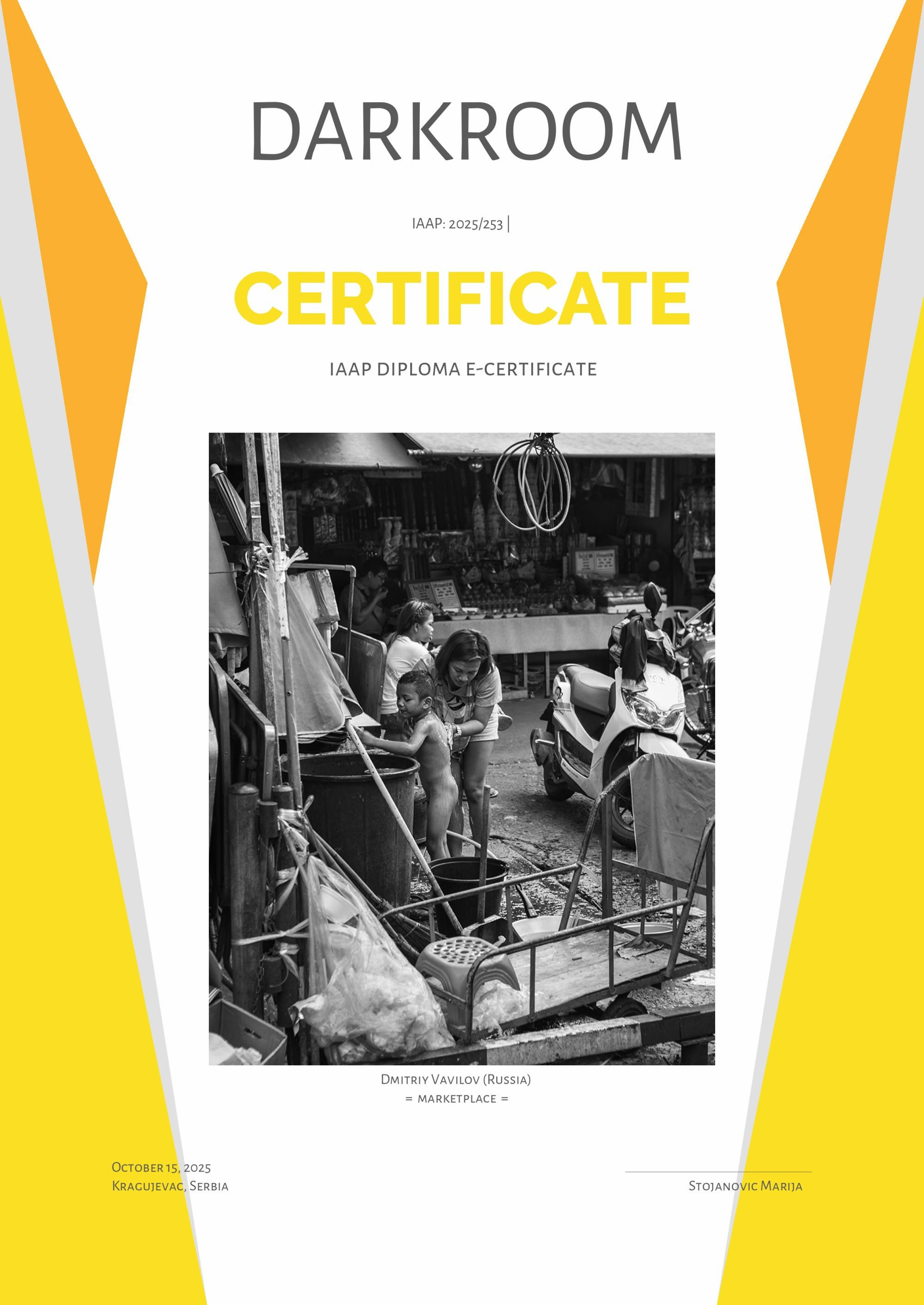 Награды за репортажные фото. Творческие фотосессии в Москве