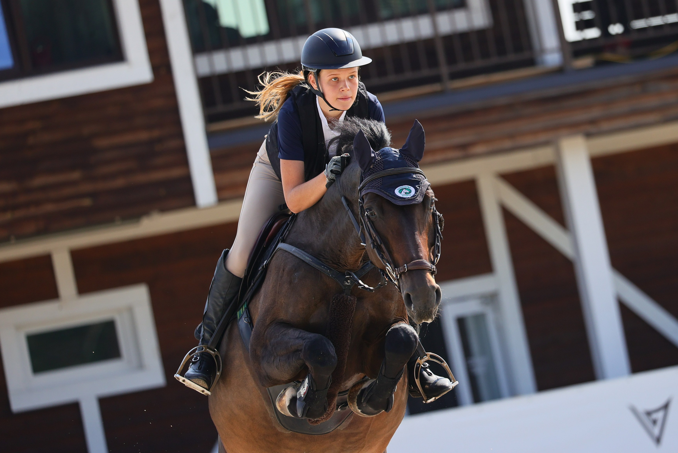 Купить фотографии с турниров. KatymartArt — Equine photography