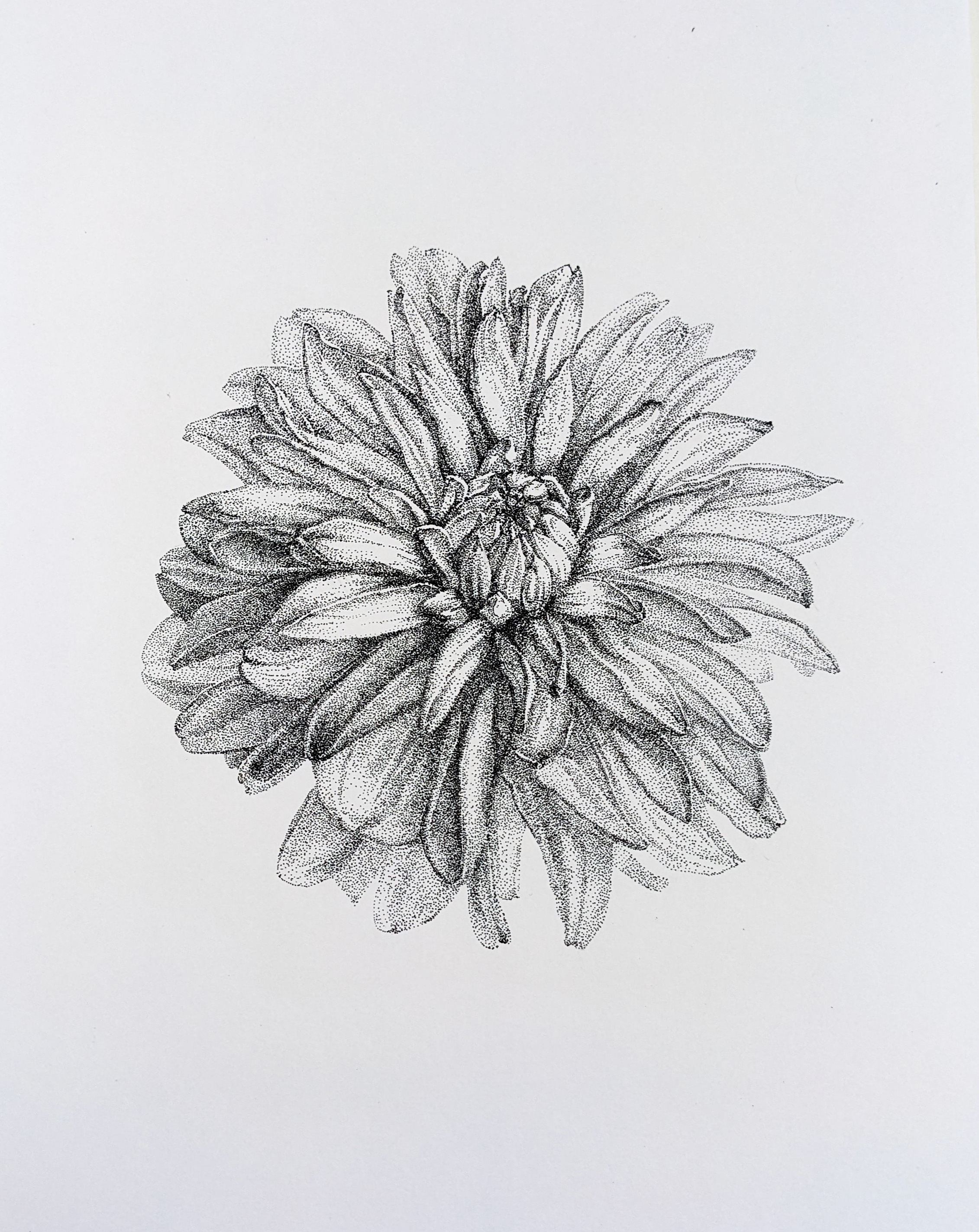 Portrait No. 20. Nadezhda Polomoshnova, fine artist in Charleston