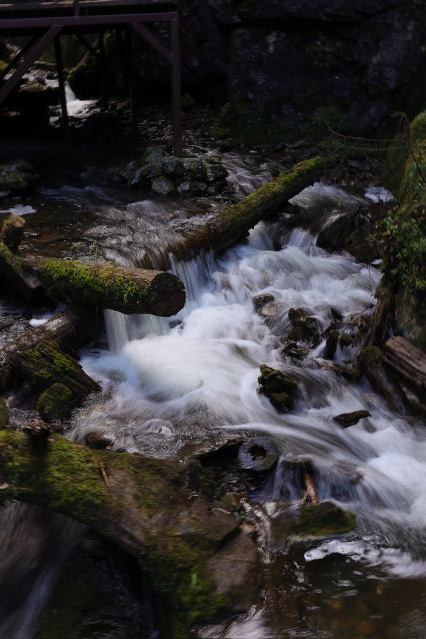 Тур на Алтай —  с комфортом летом