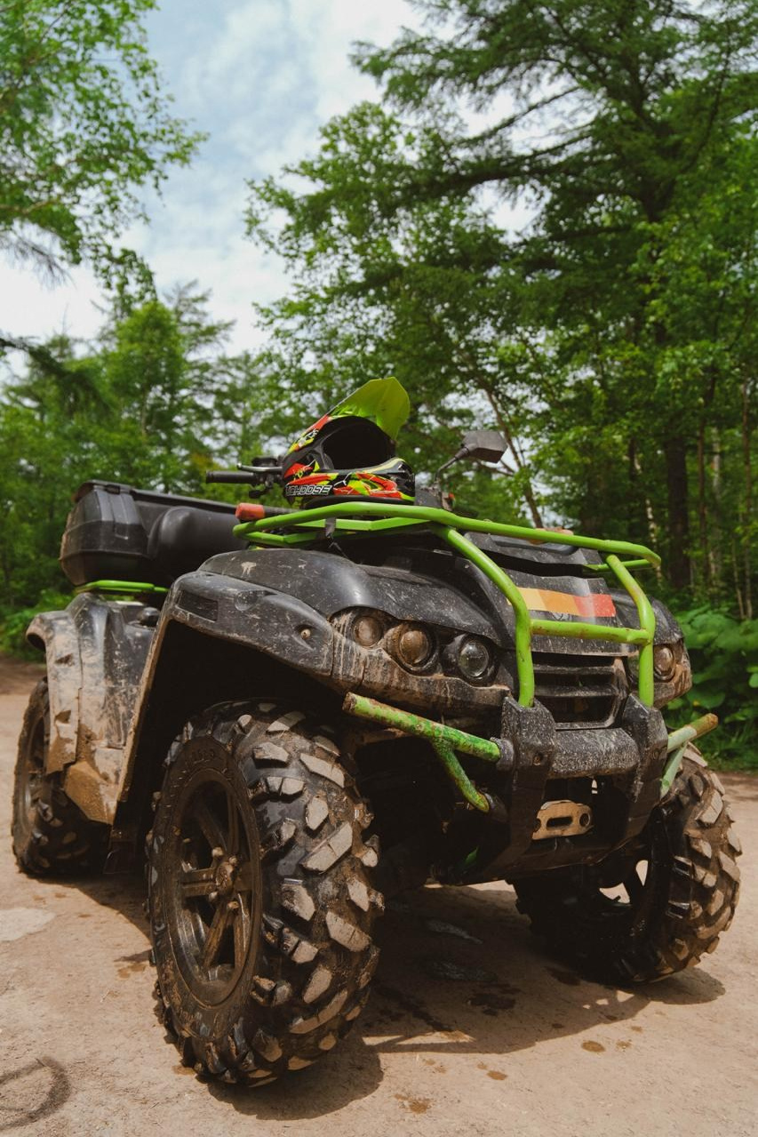 Тур в Мурманск лето 2026 — Двойные шансы встретить китов