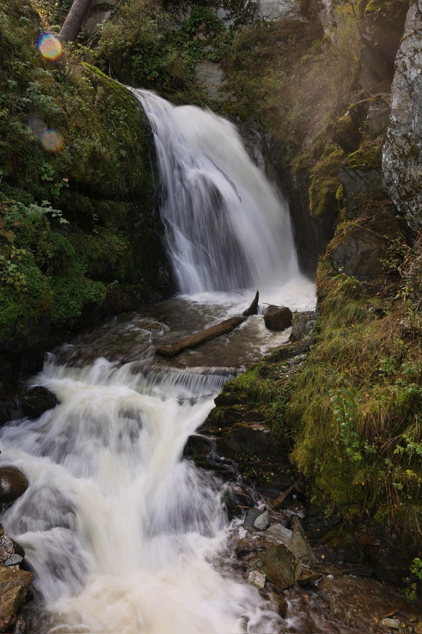 Тур на Алтай —  с комфортом летом