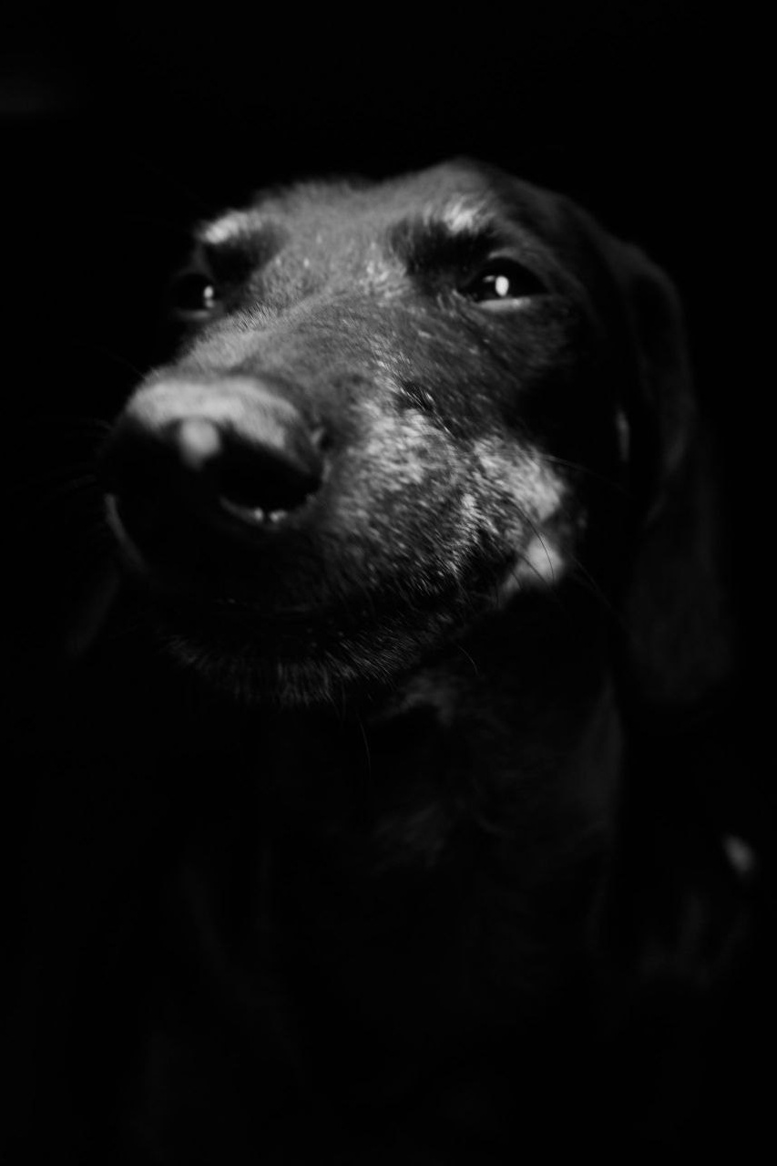 Прайс. Фотограф Никонова Софья