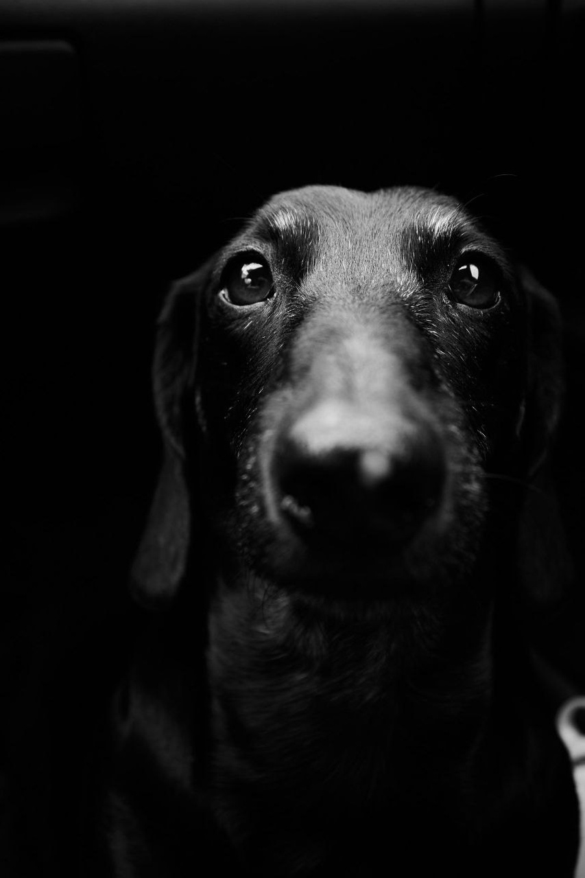 Фотограф Никонова Софья