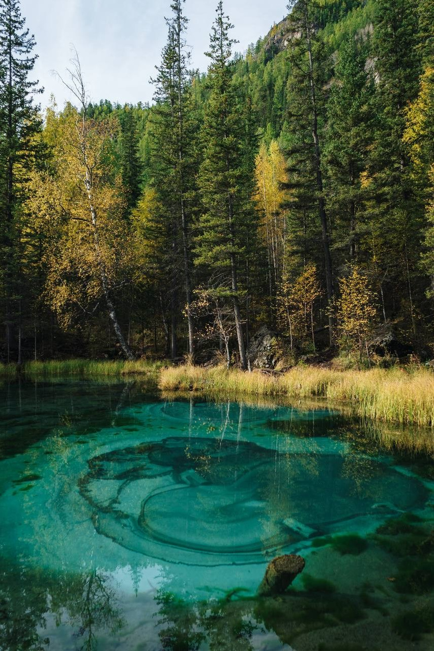 Когда ехать на Алтай?