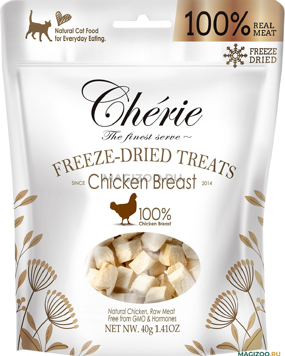 Котёнок американской бурмы. Las Burmas — питомник американской бурмы традиционных линий