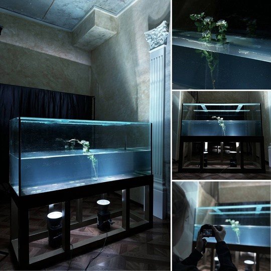 Список фотостудий Нижнего Новгорода. Сайты и цены. Фотограф Олеся Мочалова. Москва. Нижний Новгород