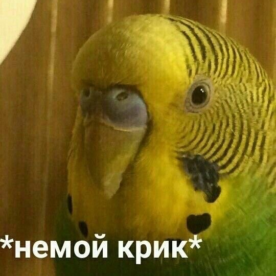 Идеи для контента. Фотограф Настя Галингер Краснодар