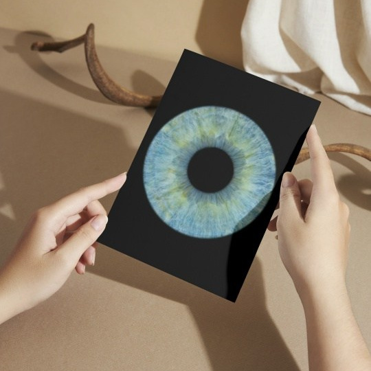 Фото радужки глаза. Фото радужки глаза LOOK IN