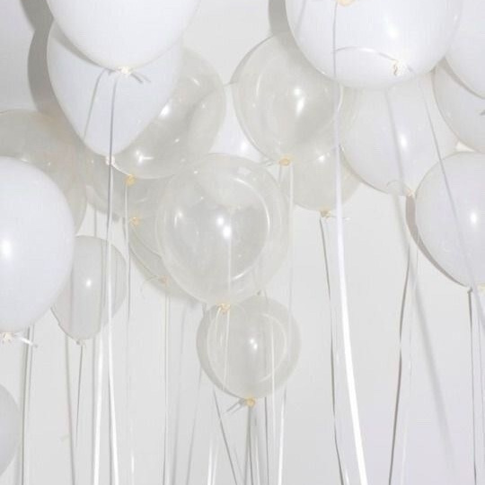 Услуги и цены. West White