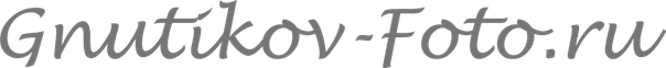 gnutikov-foto.ru