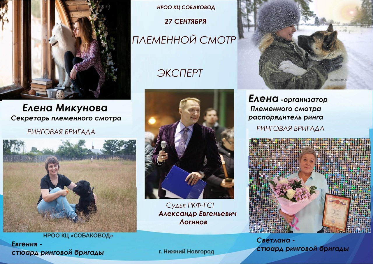 Племенной смотр 27.09.2020 г судья РКФ-FCI — А. Е. Логинов. НРОО КЦ "Собаковод"