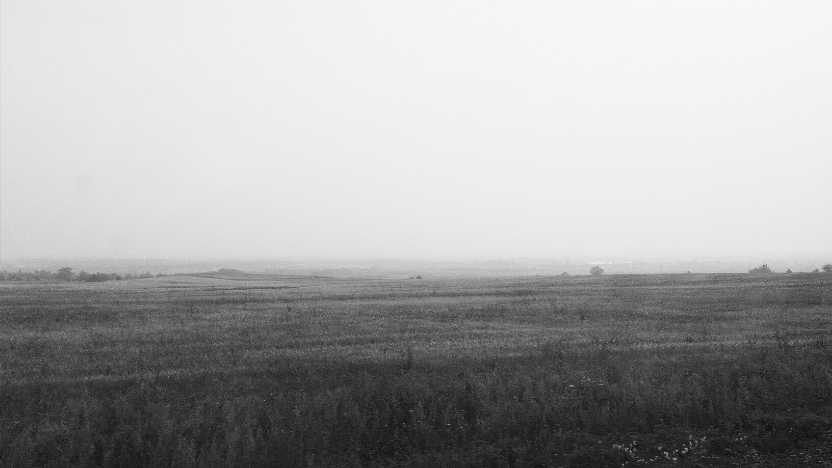 Фотограф Полина Треногина