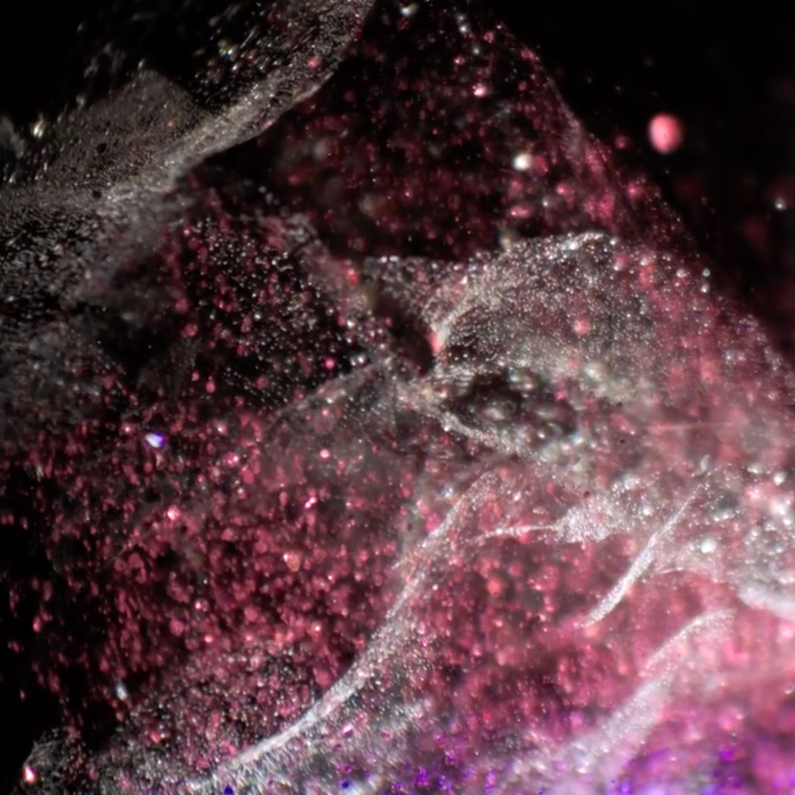 Индивидуальное обучение фотографии в Москве с нуля