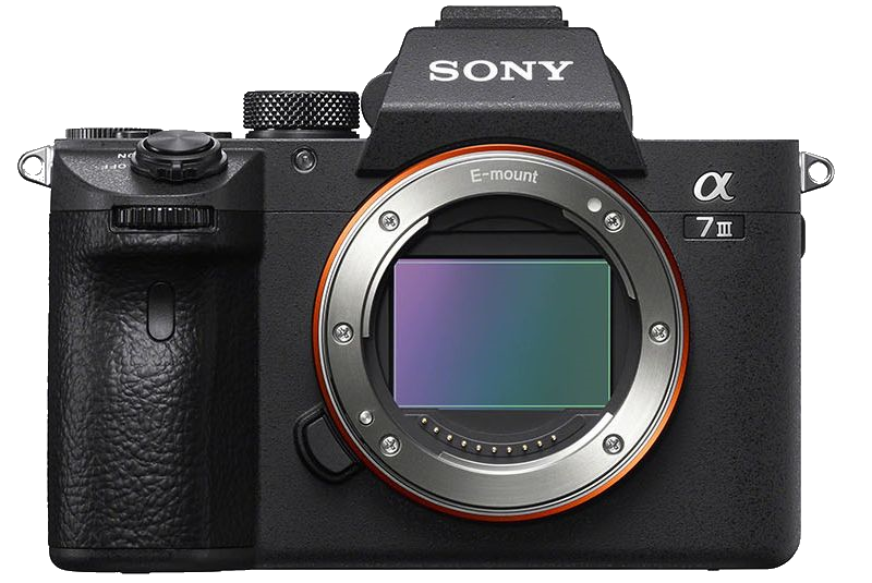 Почему я. Фотограф Антон Никитин