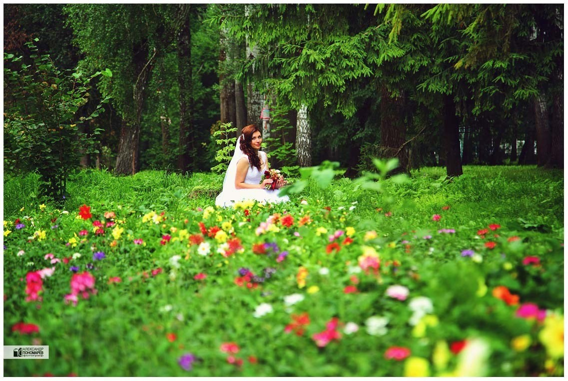СВАДЕБНЫЕ ИСТОРИИ. Фотосалон «Ракурс» в Курске