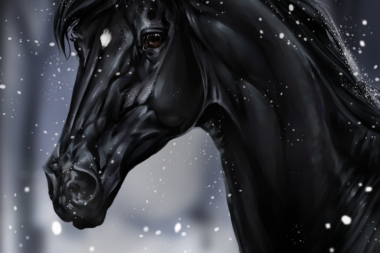 Как стартовать по Рабочей выездке. Liana Antanovich | Equestrian Strategies