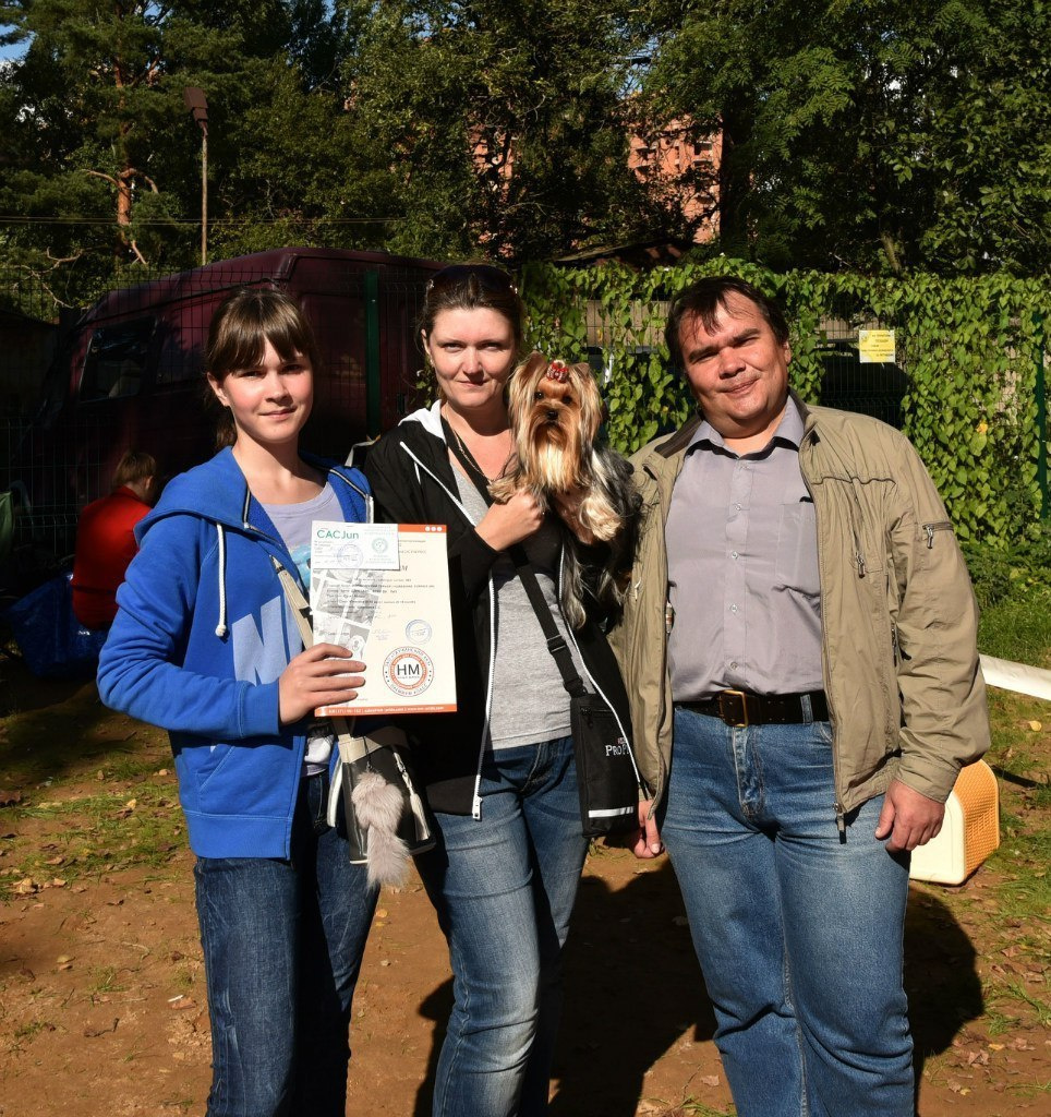 2015 г Результаты выставок. Питомник Йоркширских терьеров Дэнстайл в Санкт-Петербурге заводчик Тих
