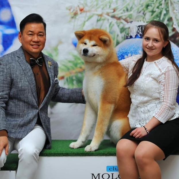 GRADUATES OF THE KENNEL. SHIOMARU Shiba and Akita Inu Kennel