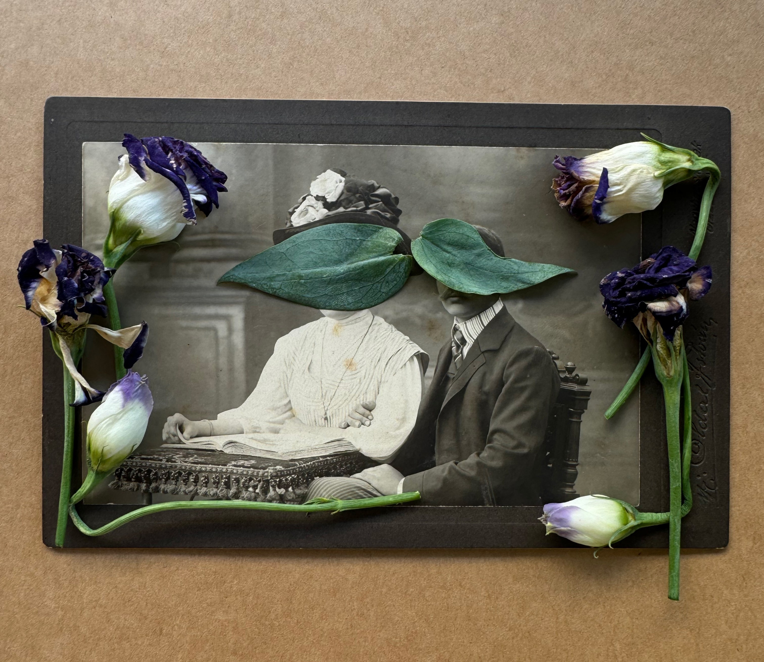 Projects. Art-photographer Ira Wind