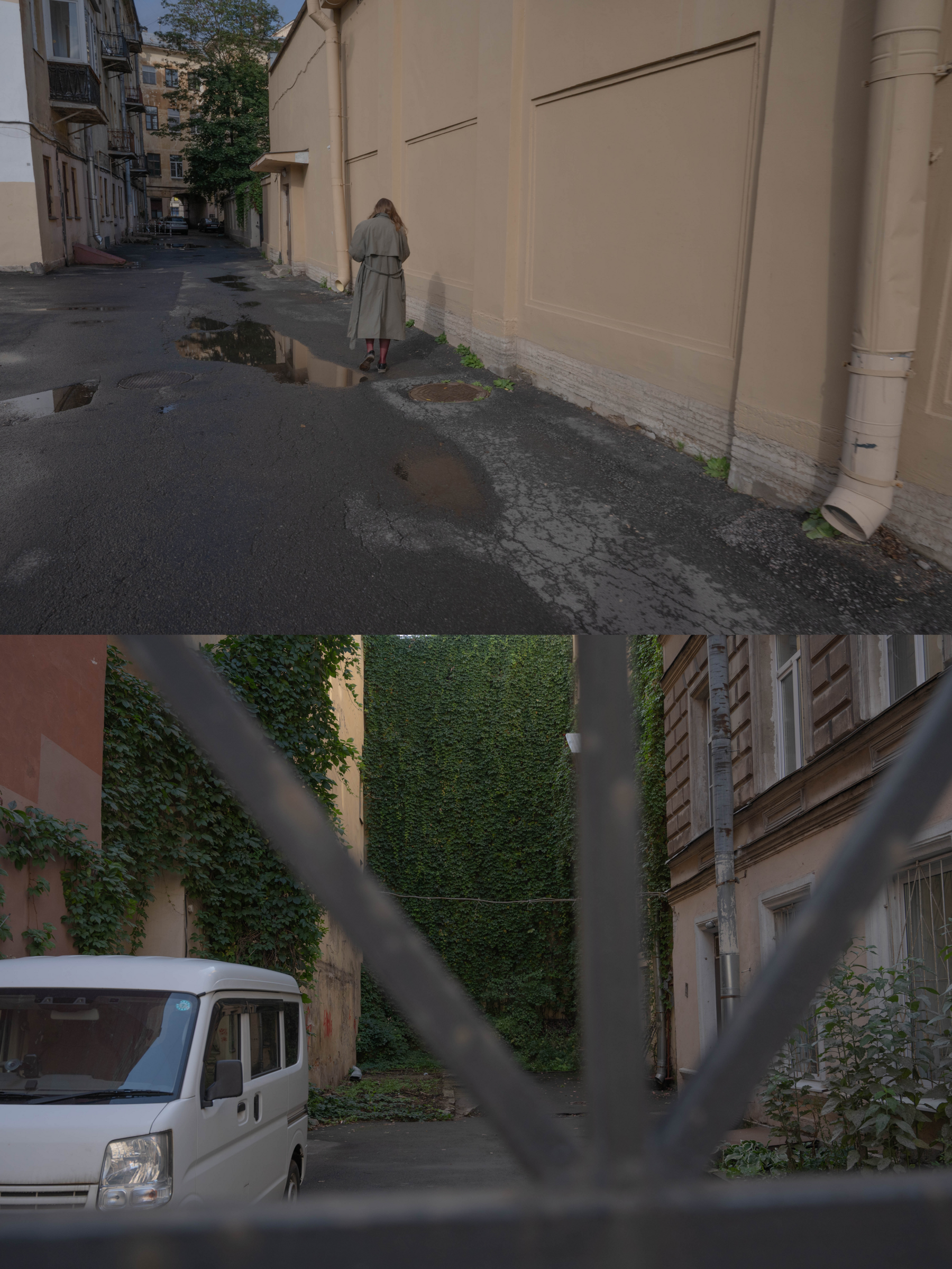 Опыт выражения. Shyjungle's Portfolio